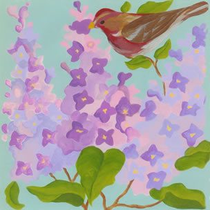 Purple-Finch